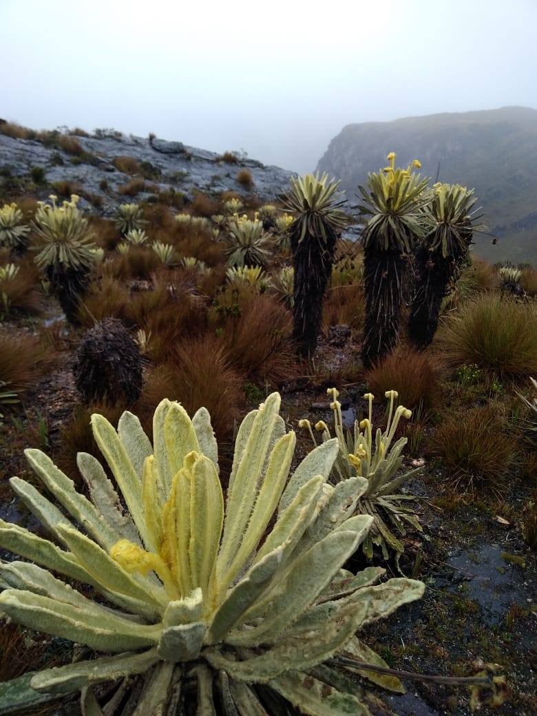  «NOCHE ETERNA» EN PÁRAMO DE SANTANDER