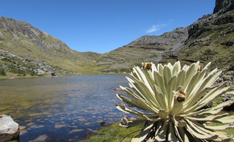  Mañana será la reunión para definir EL PARO DE PARAMEROS DEL NORORIENTE COLOMBIANO