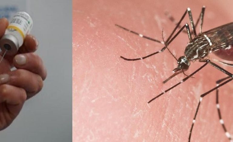  Caso de fiebre amarilla en Santander viene remitido de Arauca