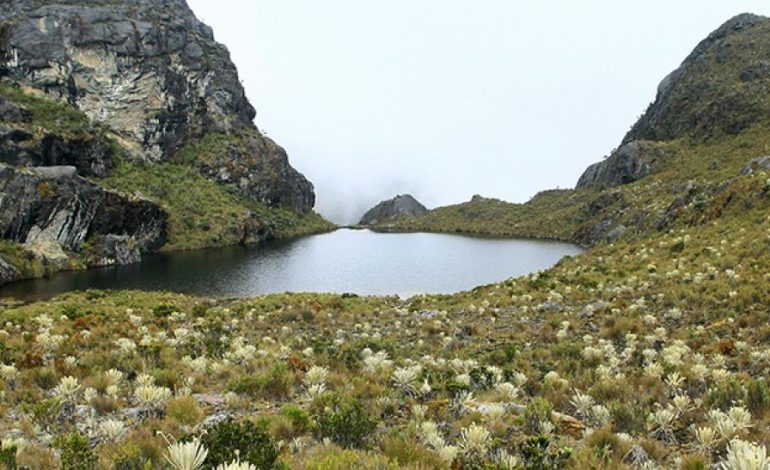  Organización internacional ambiental entregará estudio para preservar el agua en Santander