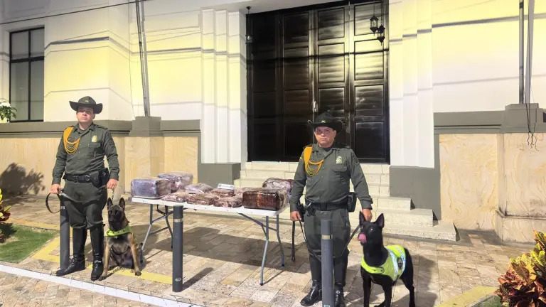  EN GIRÓN | Con ayuda de un canino antinarcóticos, la Policía incautó 60 kilos de marihuana en control vial